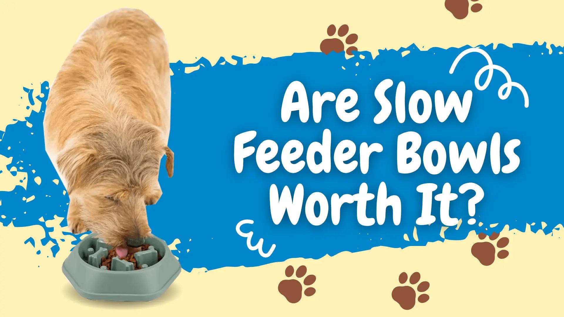 Are Slow Feeder Dog Bowls Actually Good for Your Dog?