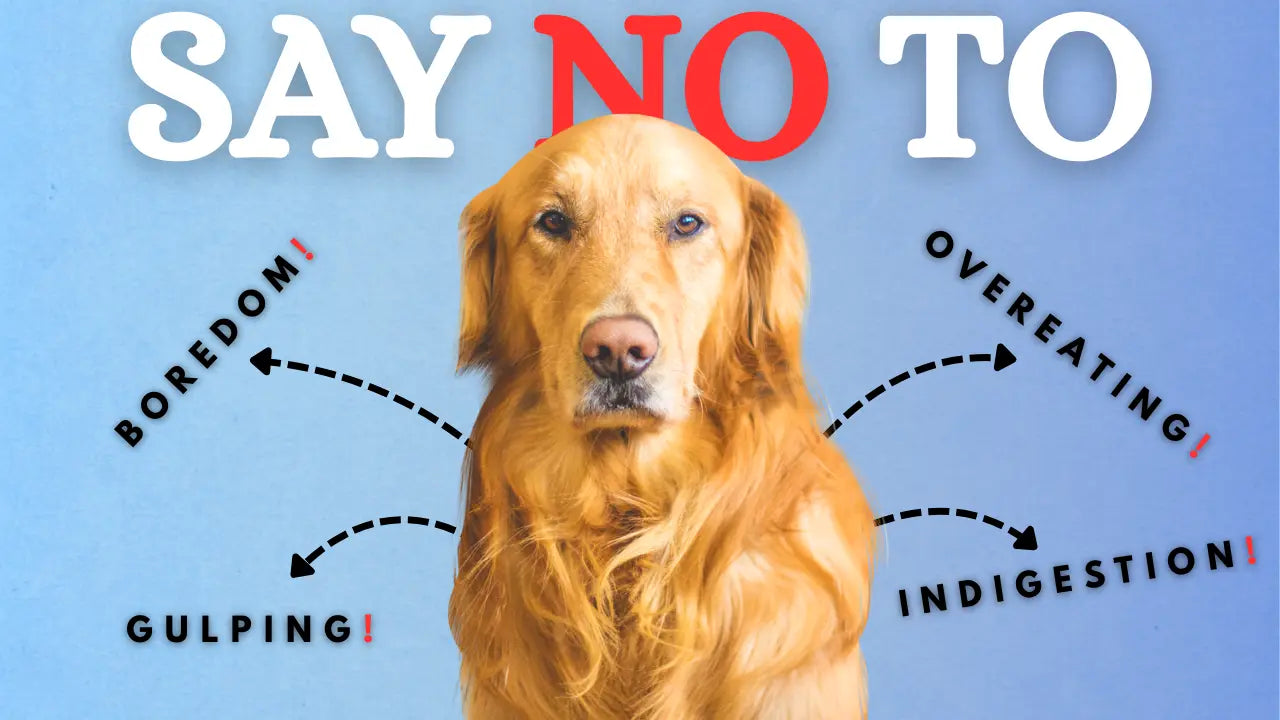 A solution for dogs to reduce boredom, gulping, overeating, and indigestion.