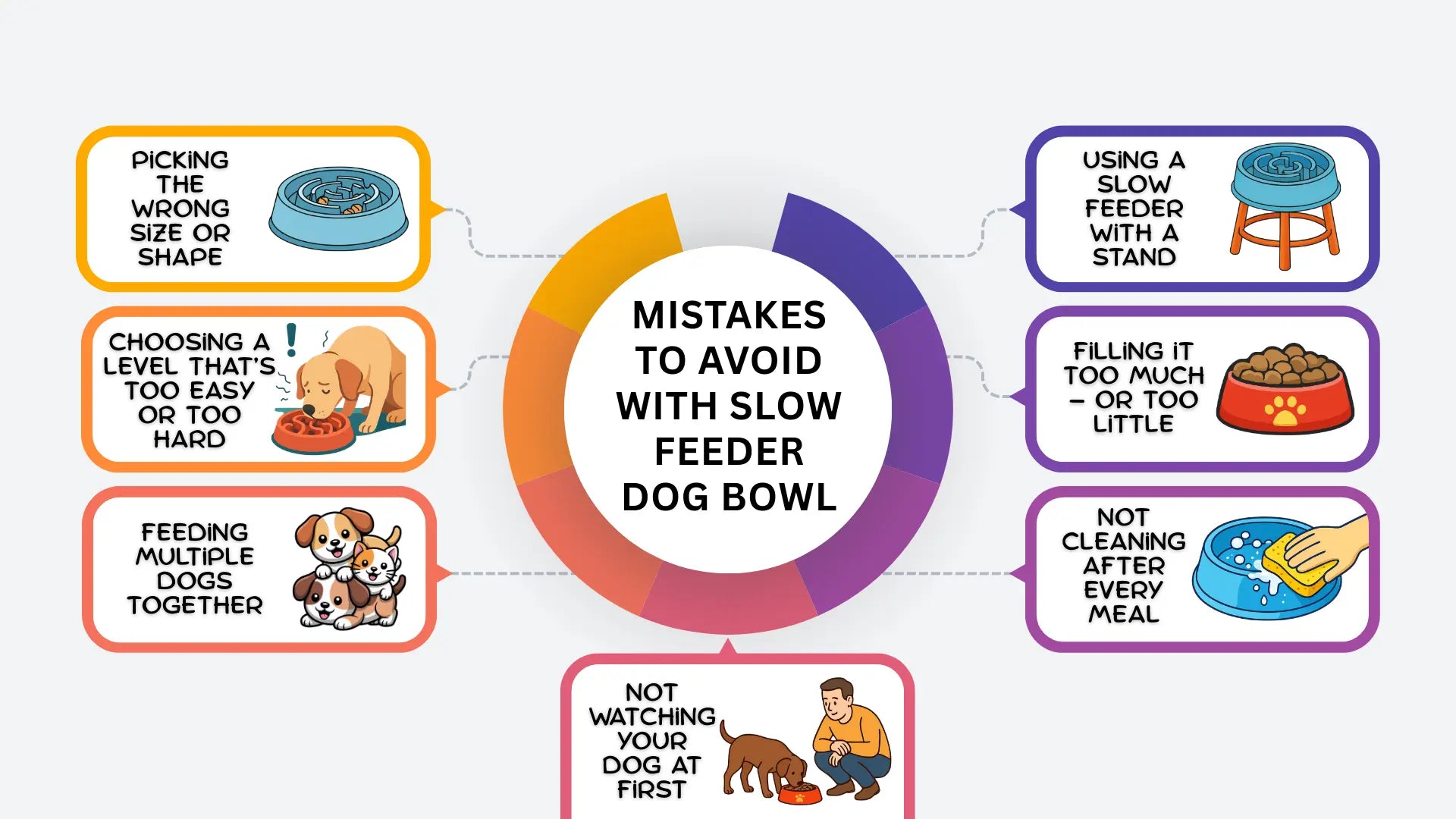 7 Common Mistakes to Avoid When Using a Slow Feeder Dog Bowl