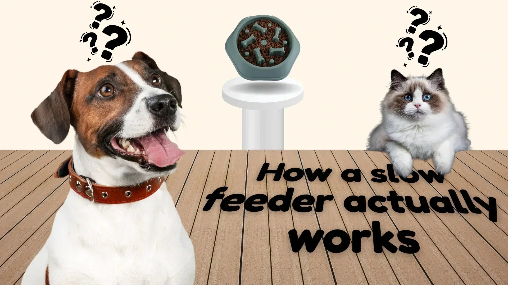 How do slow feeder dog bowls work?