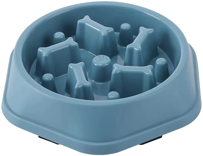 Solution for Every Dog