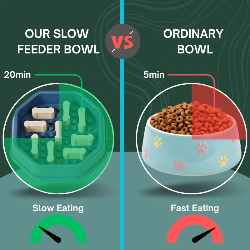 Adjustable difficulty slow feeder dog bowl comparison with ordinary dog bowl