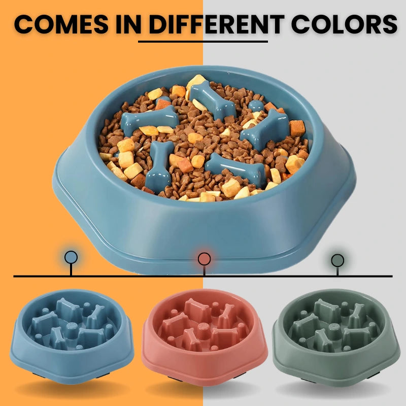 Slow feeder dog bowls in three colors – blue, pink, and green, with bone design to prevent fast eating