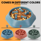 Slow feeder dog bowls in three colors – blue, pink, and green, with bone design to prevent fast eating