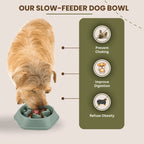 Features of slow feeder dog bowl with bone-shaped pattern to prevent fast eating and reduce choking risk
