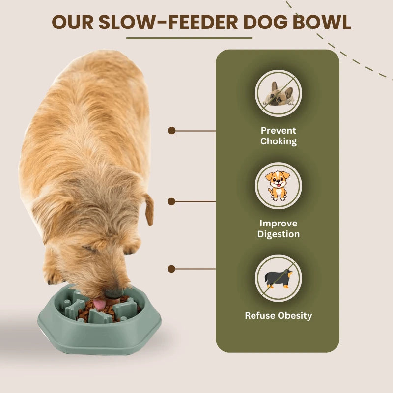 Features of slow feeder dog bowl with bone-shaped pattern to prevent fast eating and reduce choking risk