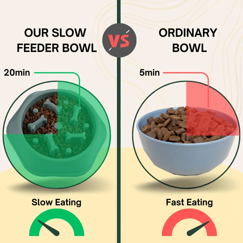 Comparison of slow feeder dog bowl with bone-shaped pattern versus a regular dog bowl 