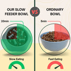 Comparison of slow feeder dog bowl with bone-shaped pattern versus a regular dog bowl 