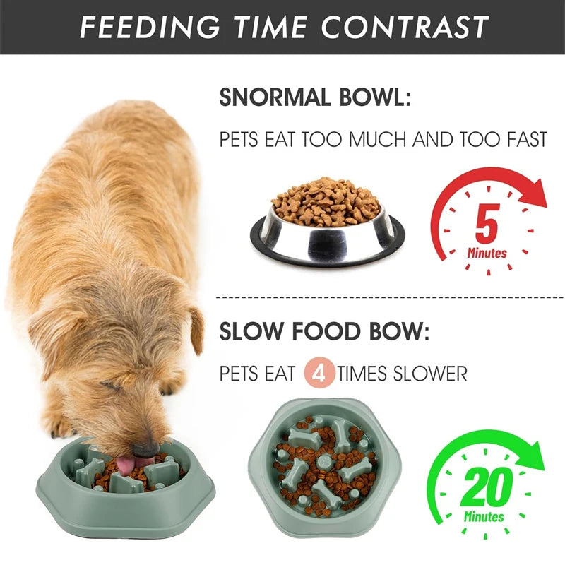 Anti-Slip Slow Feeder Dog Bowl with Bone Puzzle – Prevents Fast Eating