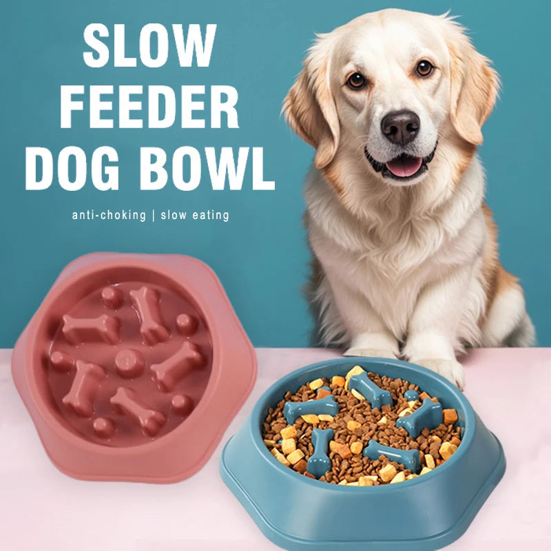 Anti-Slip Slow Feeder Dog Bowl with Bone Puzzle – Prevents Fast Eating