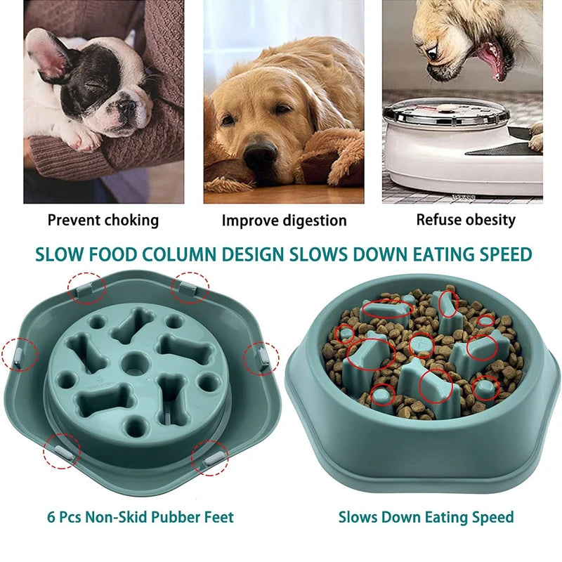 Anti-Slip Slow Feeder Dog Bowl with Bone Puzzle – Prevents Fast Eating