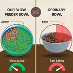 Comparison of a silicone slow feeder dog bowl vs an ordinary dog bowl