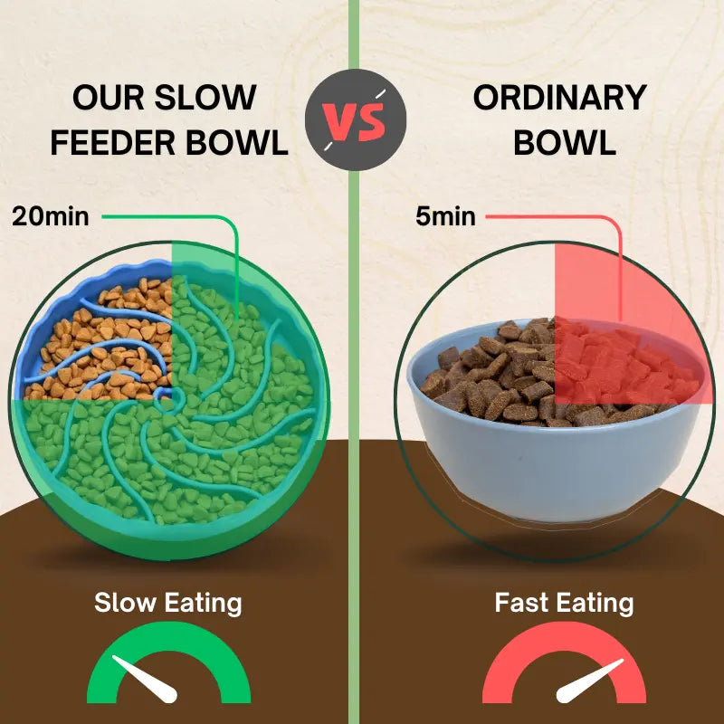 Comparison of a silicone slow feeder dog bowl vs an ordinary dog bowl